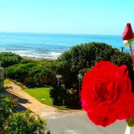 Belle Vue Guesthouse Hermanus Exterior foto