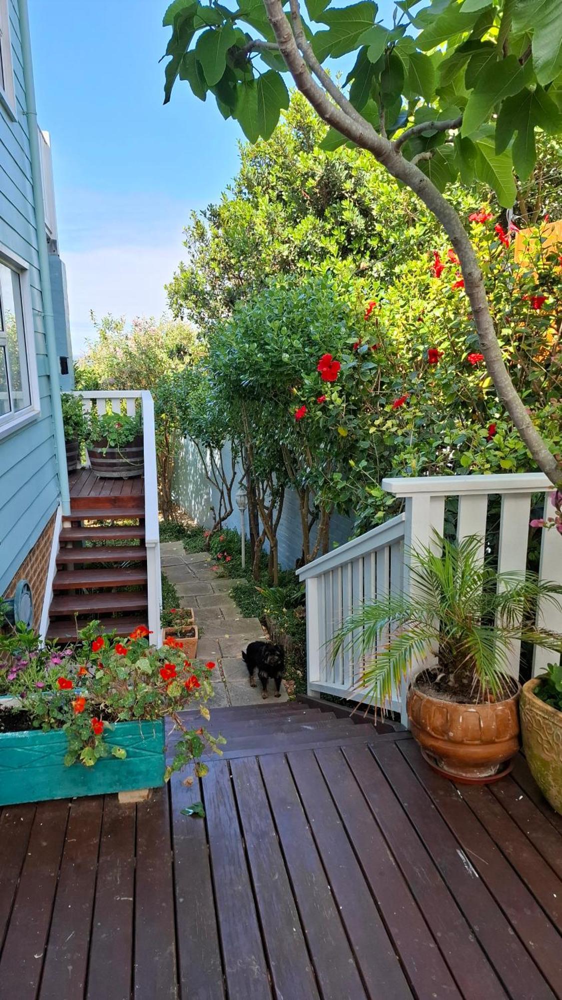 Belle Vue Guesthouse Hermanus Exterior foto