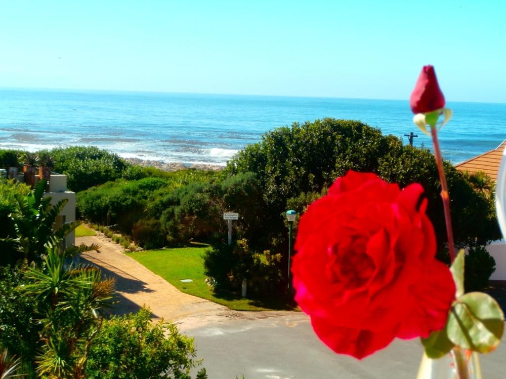 Belle Vue Guesthouse Hermanus Exterior foto